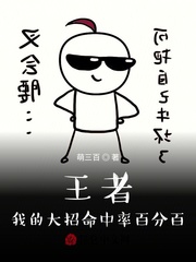 王者:我的大招命中率百分百